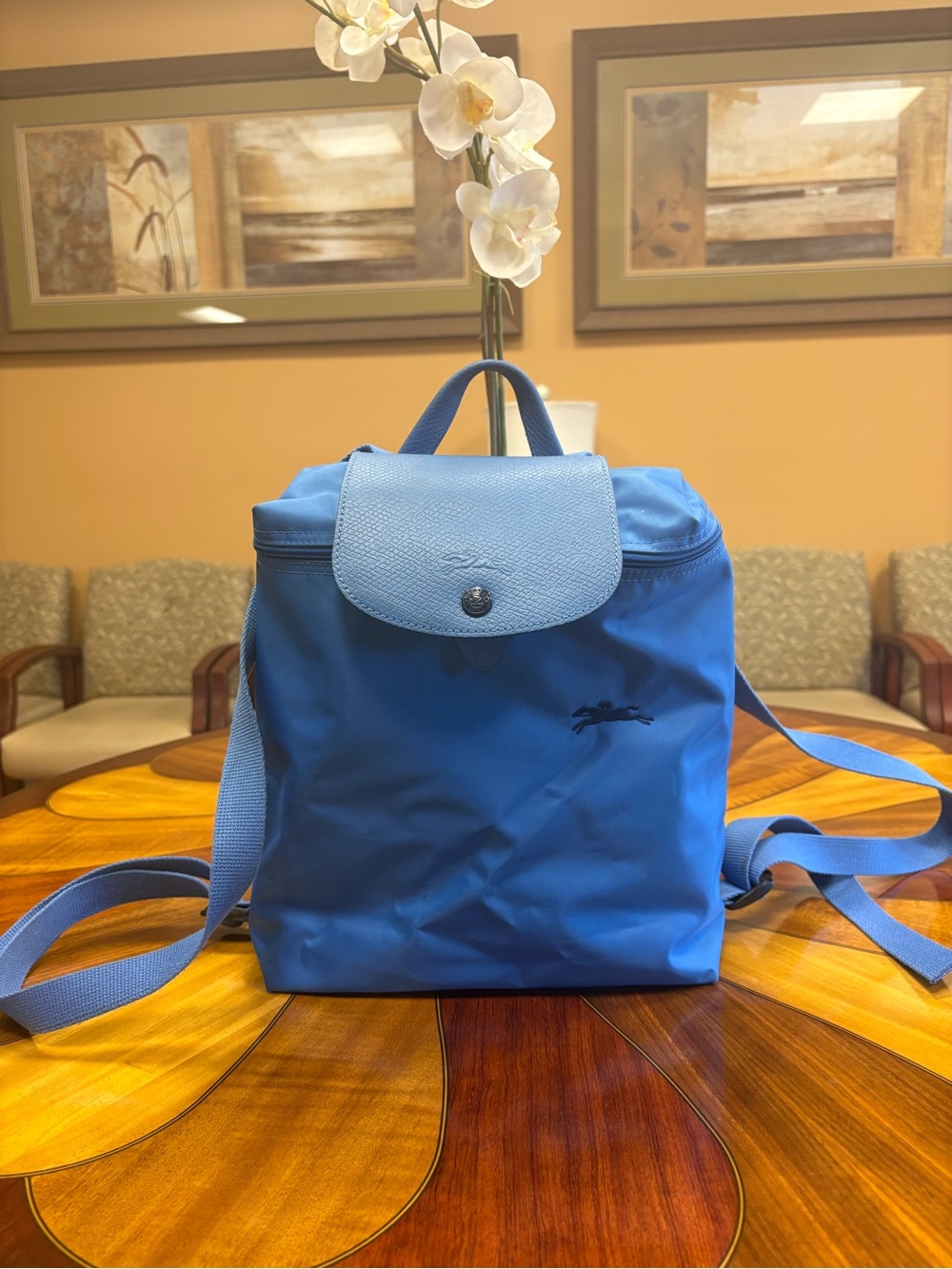 Longchamp Blue Nylon Le Pliage Backpack